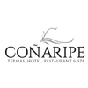 Termas Coñaripe